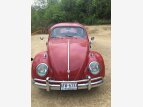Thumbnail Photo 0 for 1961 Volkswagen Beetle Coupe